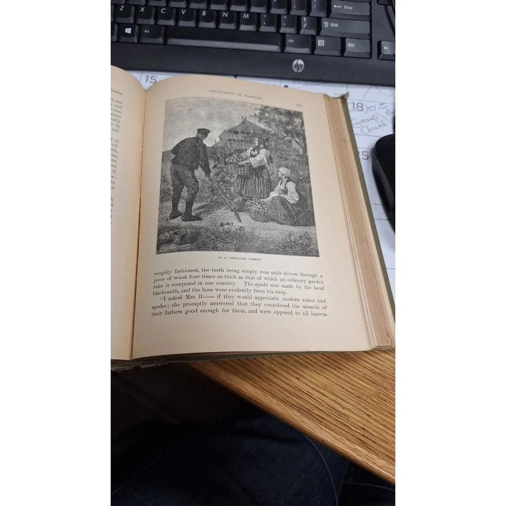 Thomas W. Knox THE BOY TRAVELLERS IN NORTHERN EUROPE Adventures of Two Youths in